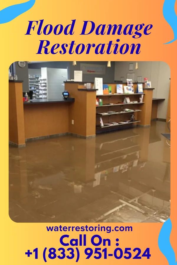 Flood Damage Restoration in Andrews AFB, MD